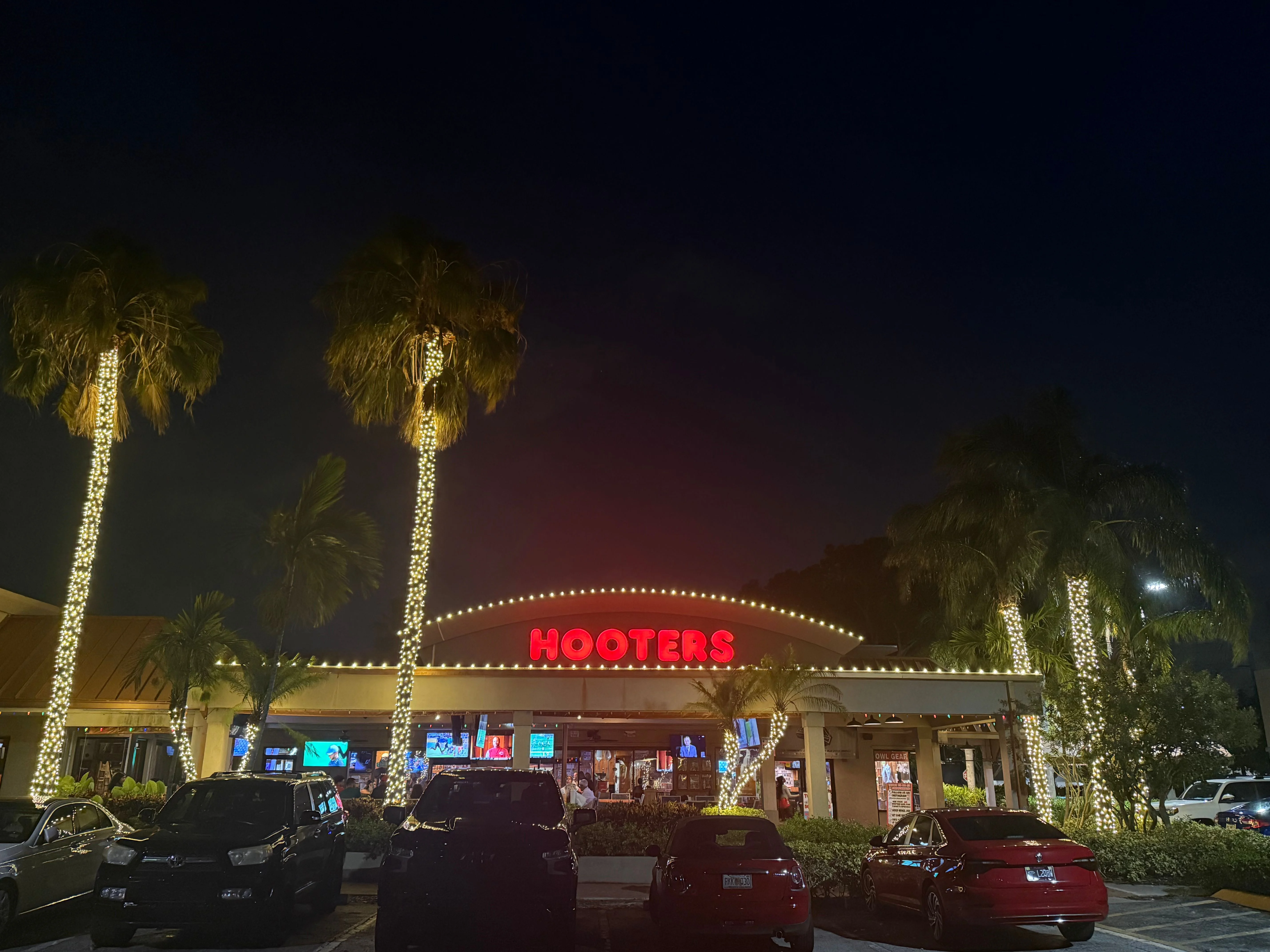 Commercial property with professional palm tree lighting and building accent lights