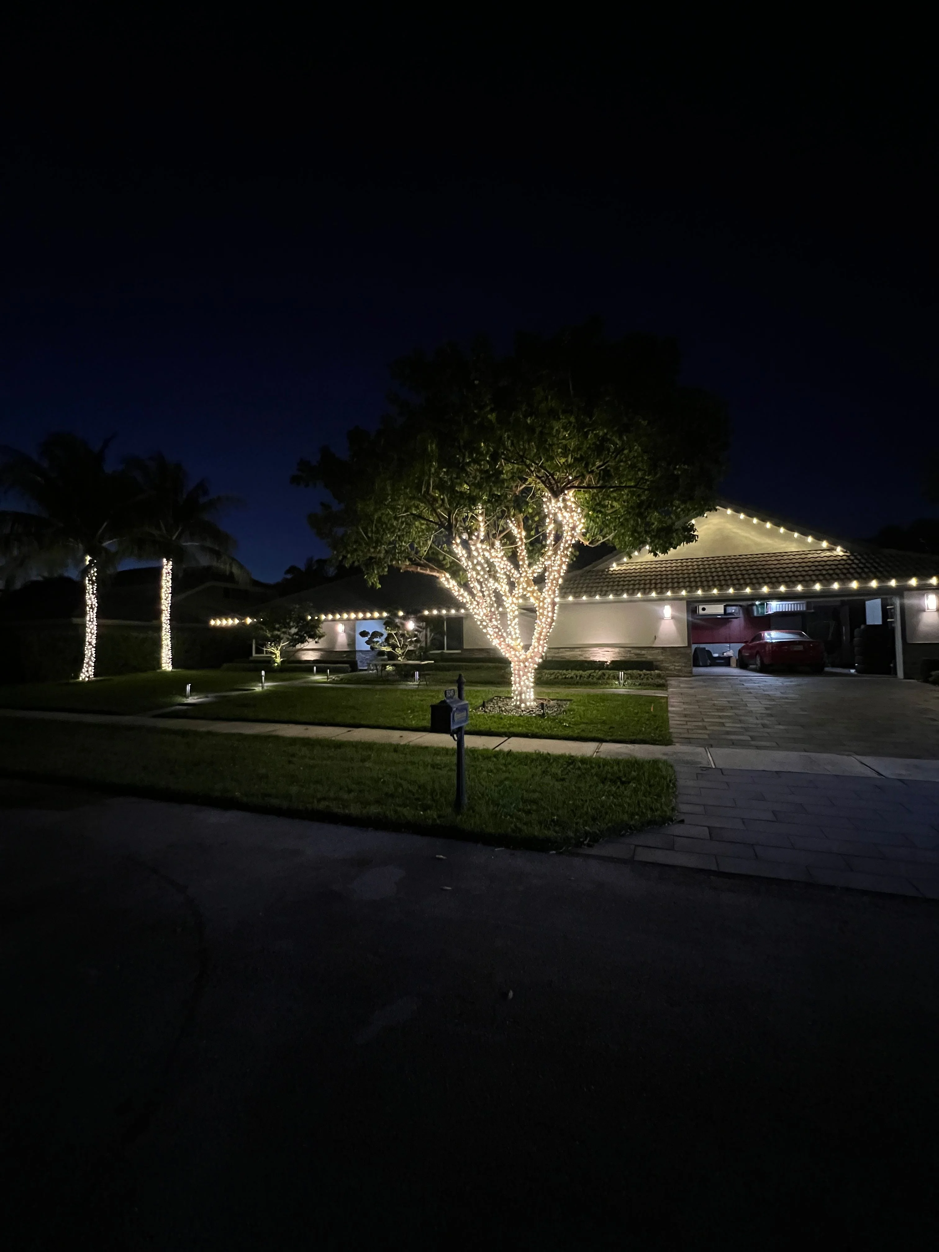 Stunning evening tree lighting with roofline accent lights creating perfect ambiance