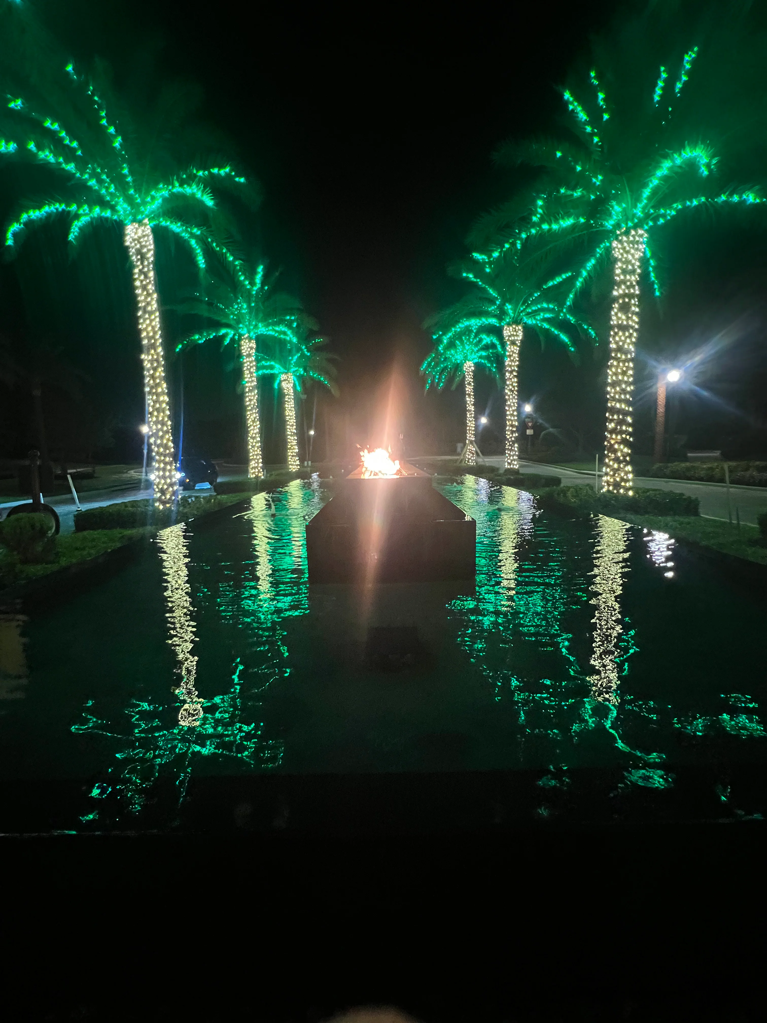 Stunning poolside lighting with green LED palm trees reflecting in water with fire feature