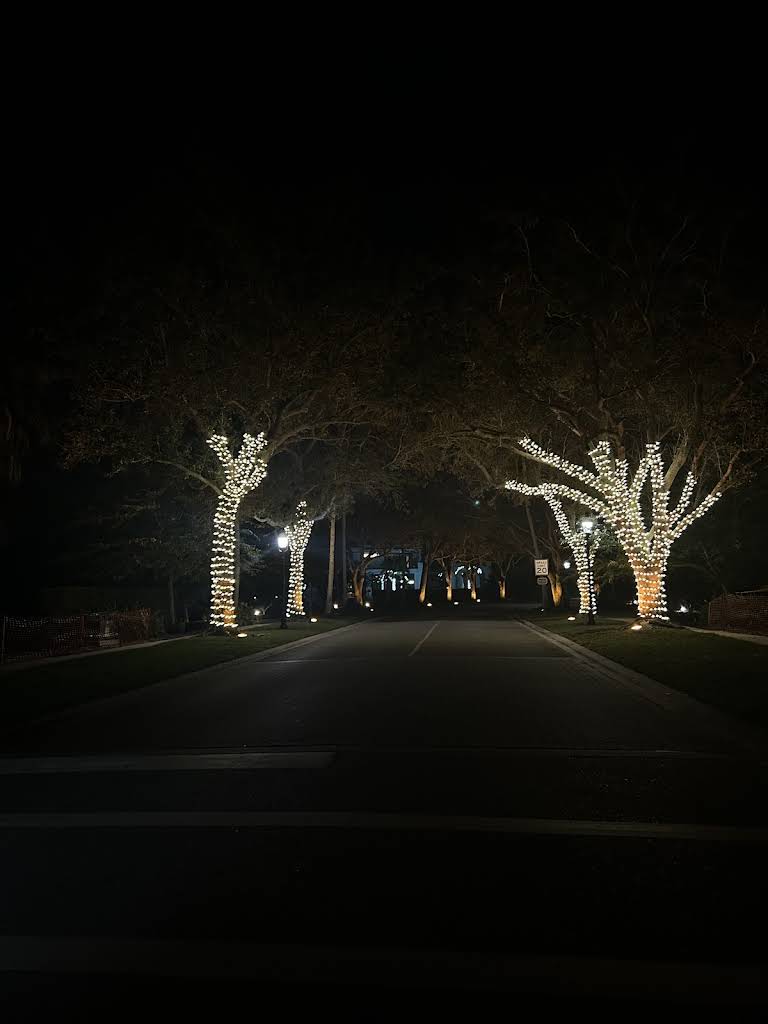 Professional outdoor lighting installation for commercial property