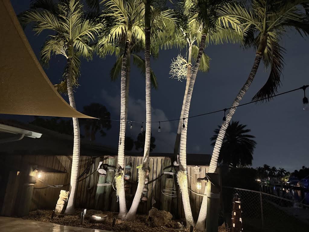 Elegant LED lighting system enhancing outdoor entertainment area