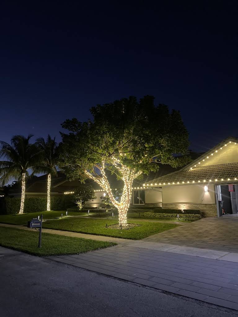 Professional outdoor lighting design illuminating architectural details