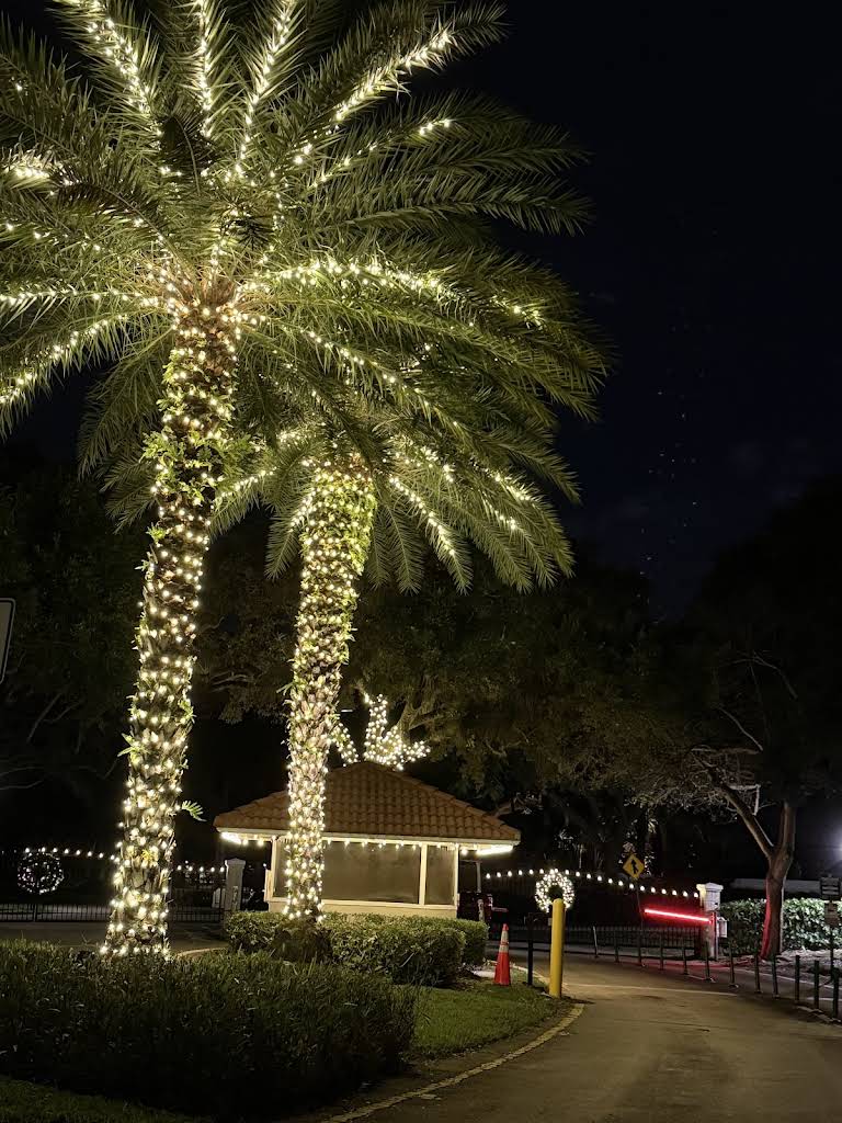 Custom outdoor lighting creating dramatic shadows and visual interest